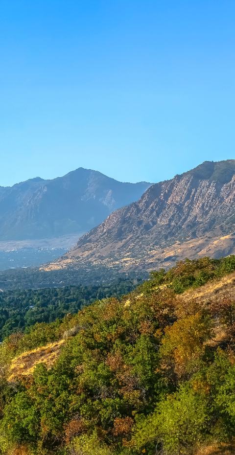 About Alliance Counseling 2